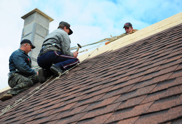 Best Roof Waterproofing Services  in Laureles, TX